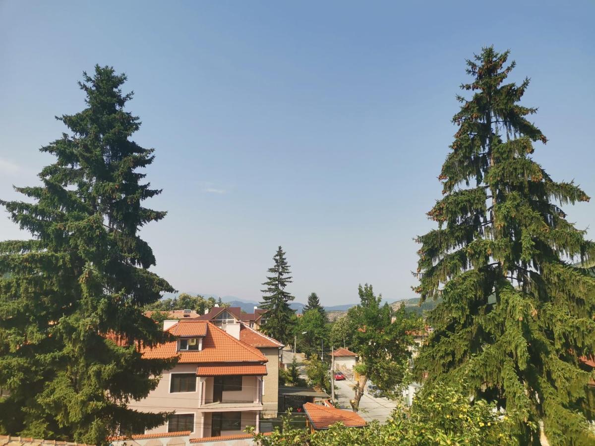 Guest House Ena Velingrad Extérieur photo